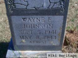 Wayne E. Johnson