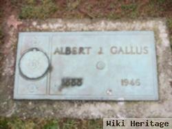 Albert J. Gallus