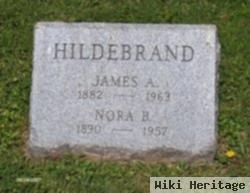 James Arthur Hildebrand