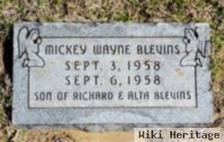 Mickey Wayne Blevins