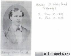 Henry Detwiler "harry" Heistand