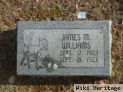 James M. Williams