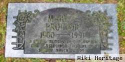 Mary E Proctor