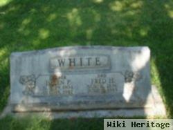 Fred Hermit White