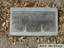 Herman Auerbach