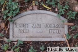 Janice Faye Johnson