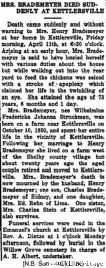 Wilhelmina Fredericka Johanna "minna" Struckman Bredemeyer