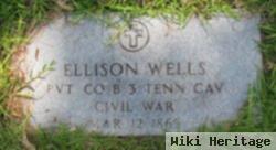 Ellison Wells