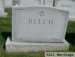 Bertha Swartz Blech