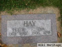 Peter Hay