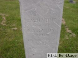 Catherine A Wartick Hardy