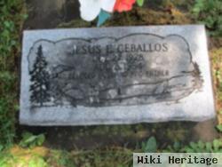 Jesus E. Ceballos