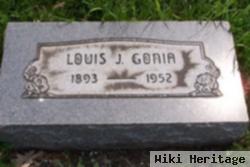 Louis J Gonia