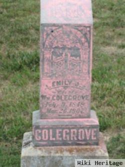 Emily J. Colegrove