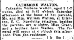 Catherine Verbena Walton