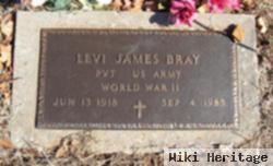 Levi James Bray