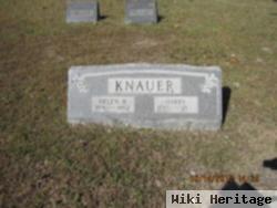 Harry Knauer