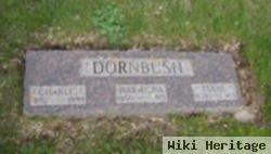 Isaac Dornbush