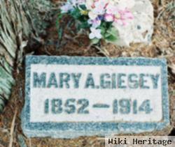 Mary Ann Giesey