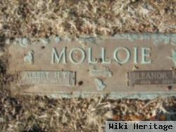 Albert H.t. Molloie