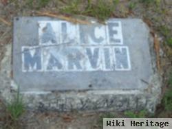 Alice Marvin