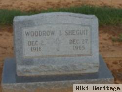 Woodrow T. Sheguit