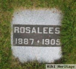 Rosalee S Wilson