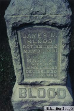 Mary A. Blood