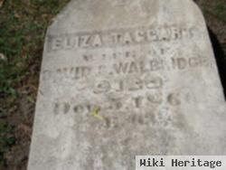 Eliza Taggart Walbridge