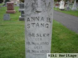 Anna B. Stang