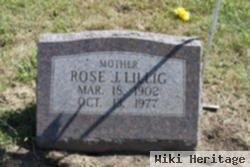 Rose J Curim Lillig