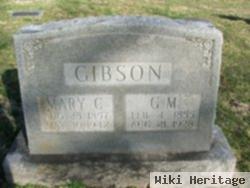 G. M. Gibson