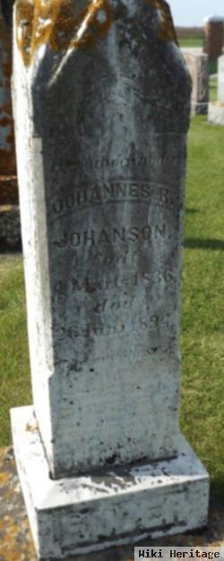 Johannes R. Johanson