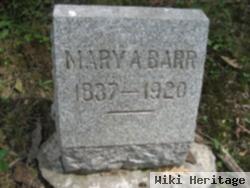 Mary Ann Barr