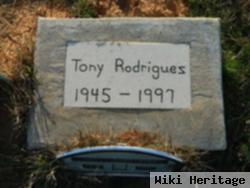 Tony Rodriquez