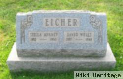 David Wells Eicher