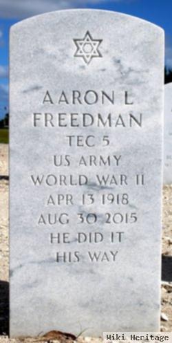 Aaron L Freedman