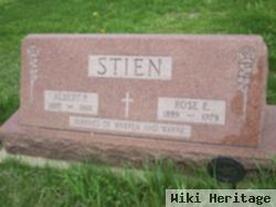 Albert P Stien