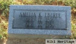 Amelia K Eberle