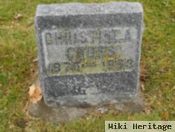 Christine A Gross