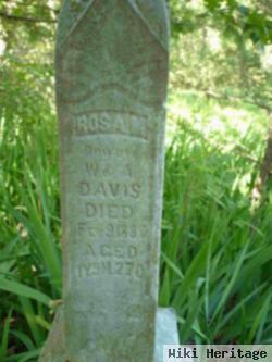 Rosa M Davis