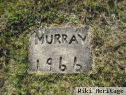 Infant Murray