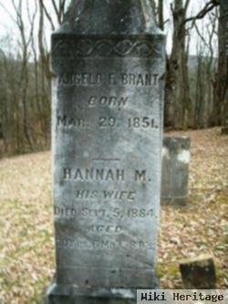 Hannah M Brant