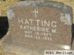 Katherine M Hatting