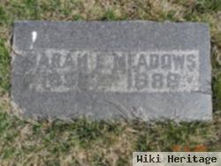 Sarah E. Meadows