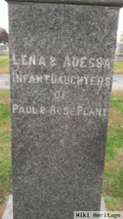 Lena Plant