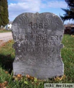 Rose "rosie" Borchert