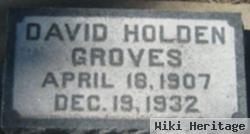 David Holden Groves