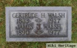 Gertrude H Walsh