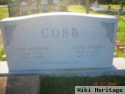 Jacob Wilkins Cobb